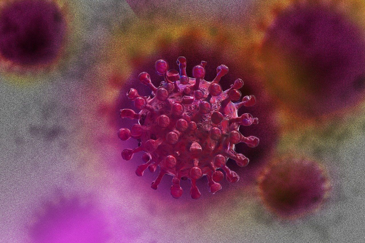 Coronavirus 11 aprilie