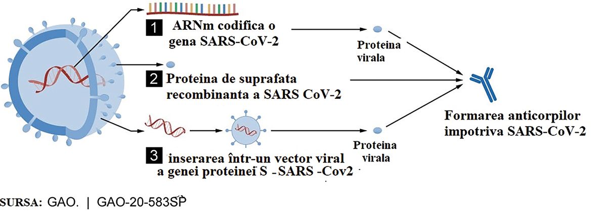 Prepararea vaccinului pentru SARS-CoV-2
