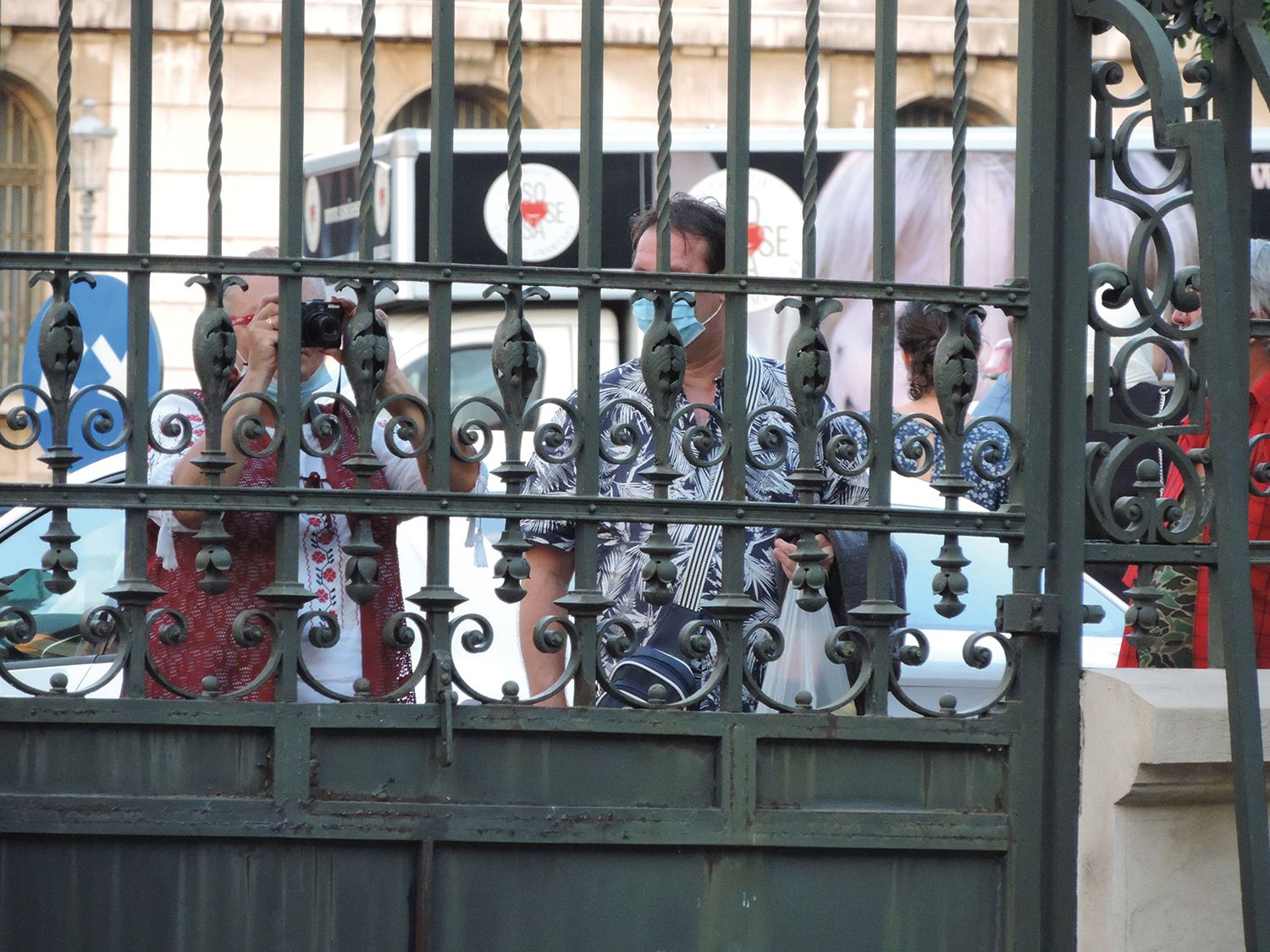 Spectatori la gardul Palatului regal (3)