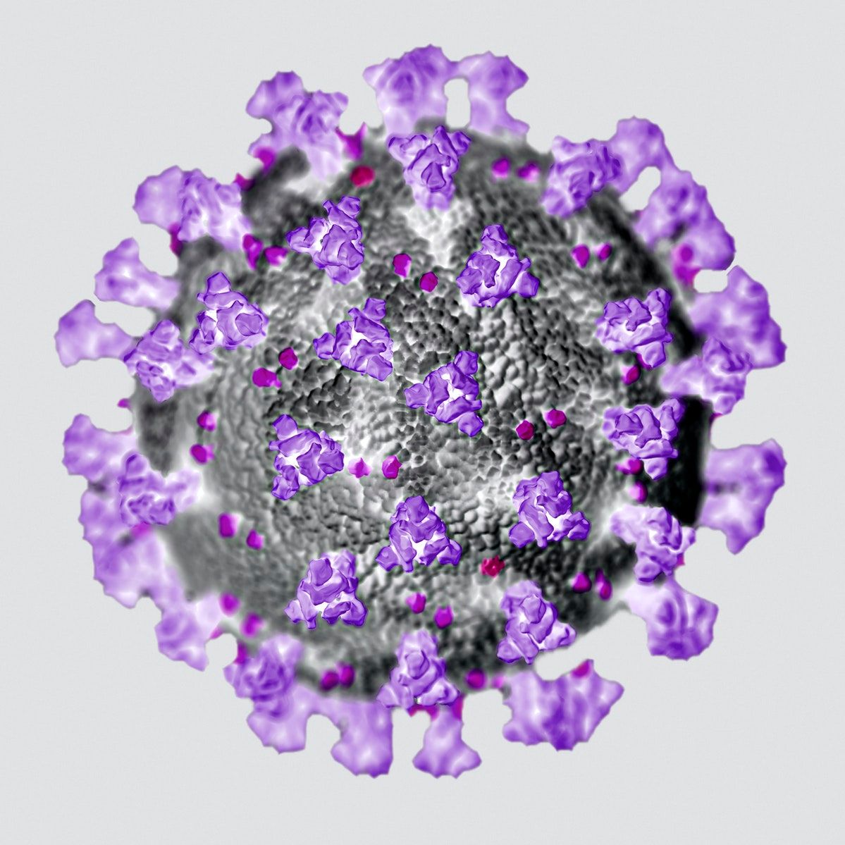 anticorpi covid19 imunitate
