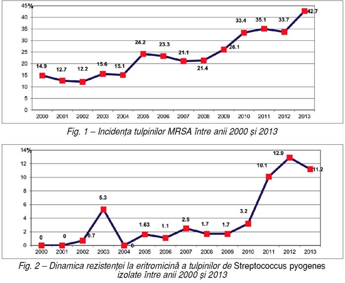 Dinamica antibiorezistenţei celor mai frecvent izolate bacterii cu potenţial patogen în Spitalul Clinic „Dr. Victor Babeş“ Bucureşti, în perioada 2000–2013