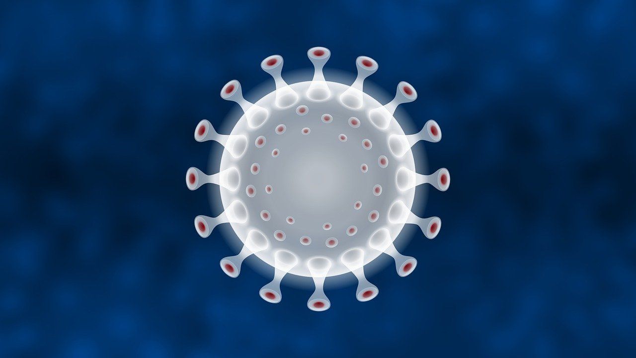 coronavirus 14 noiembrie