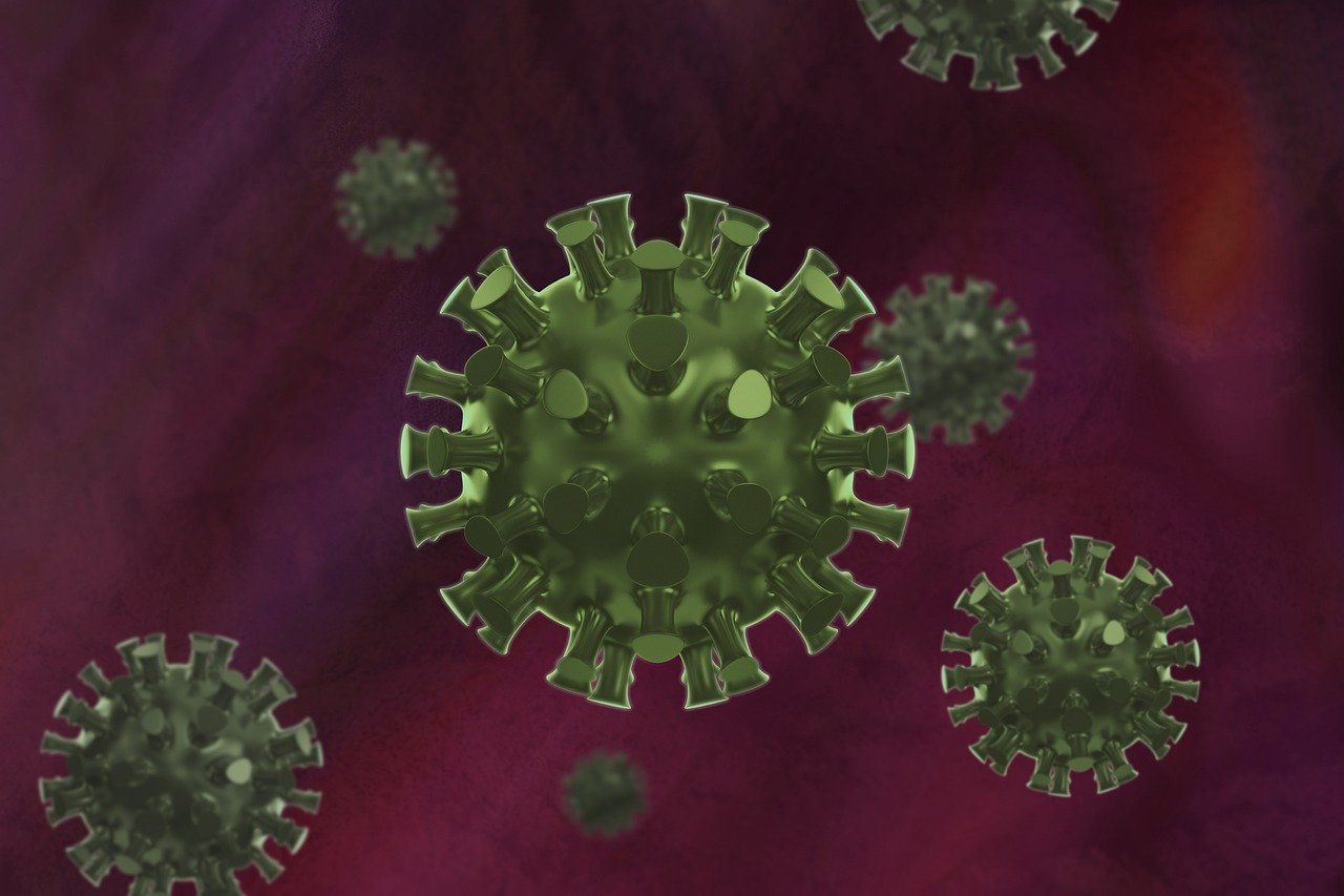 coronavirus 29 decembrie