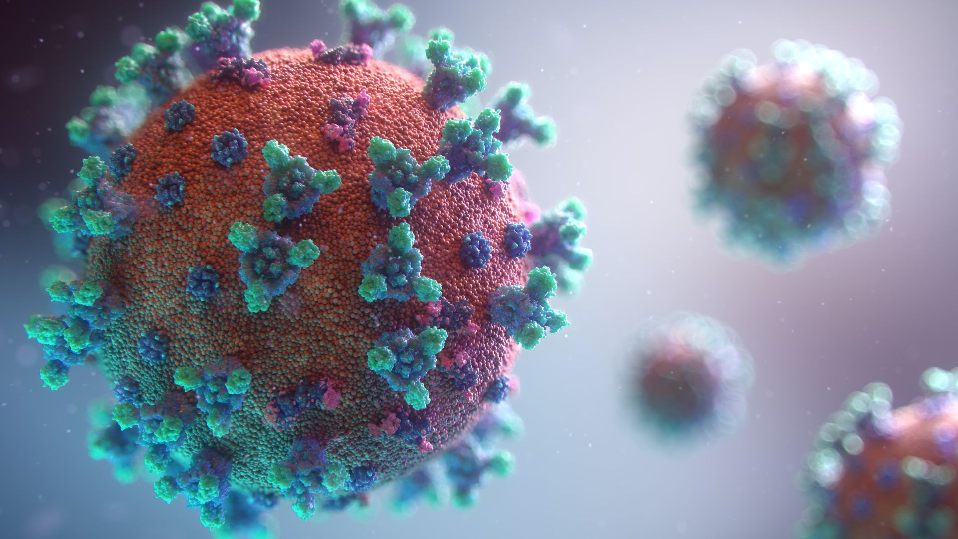 SARS-CoV-2: transmiterea virusului implică celulele imunitare din organism