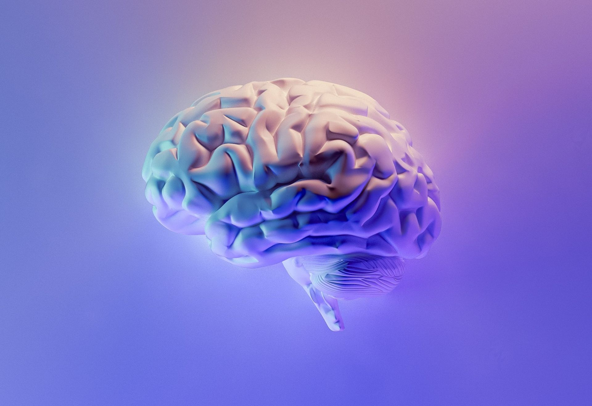 Creierul și dominanța speciei umane