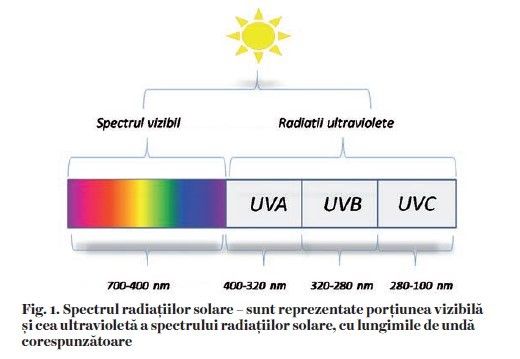 fig 1 protectie solara