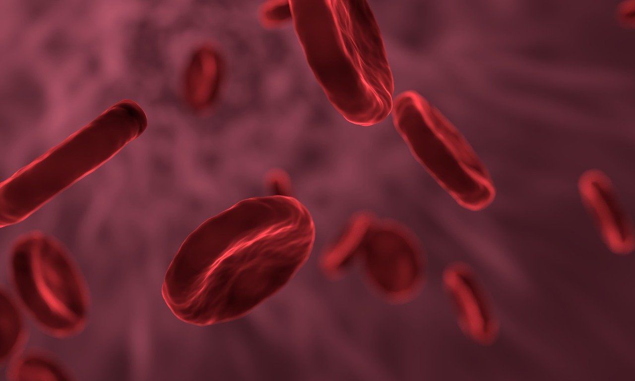 A fost lansată „Carta Albă a Hemofiliei” – analiză despre managementul bolii