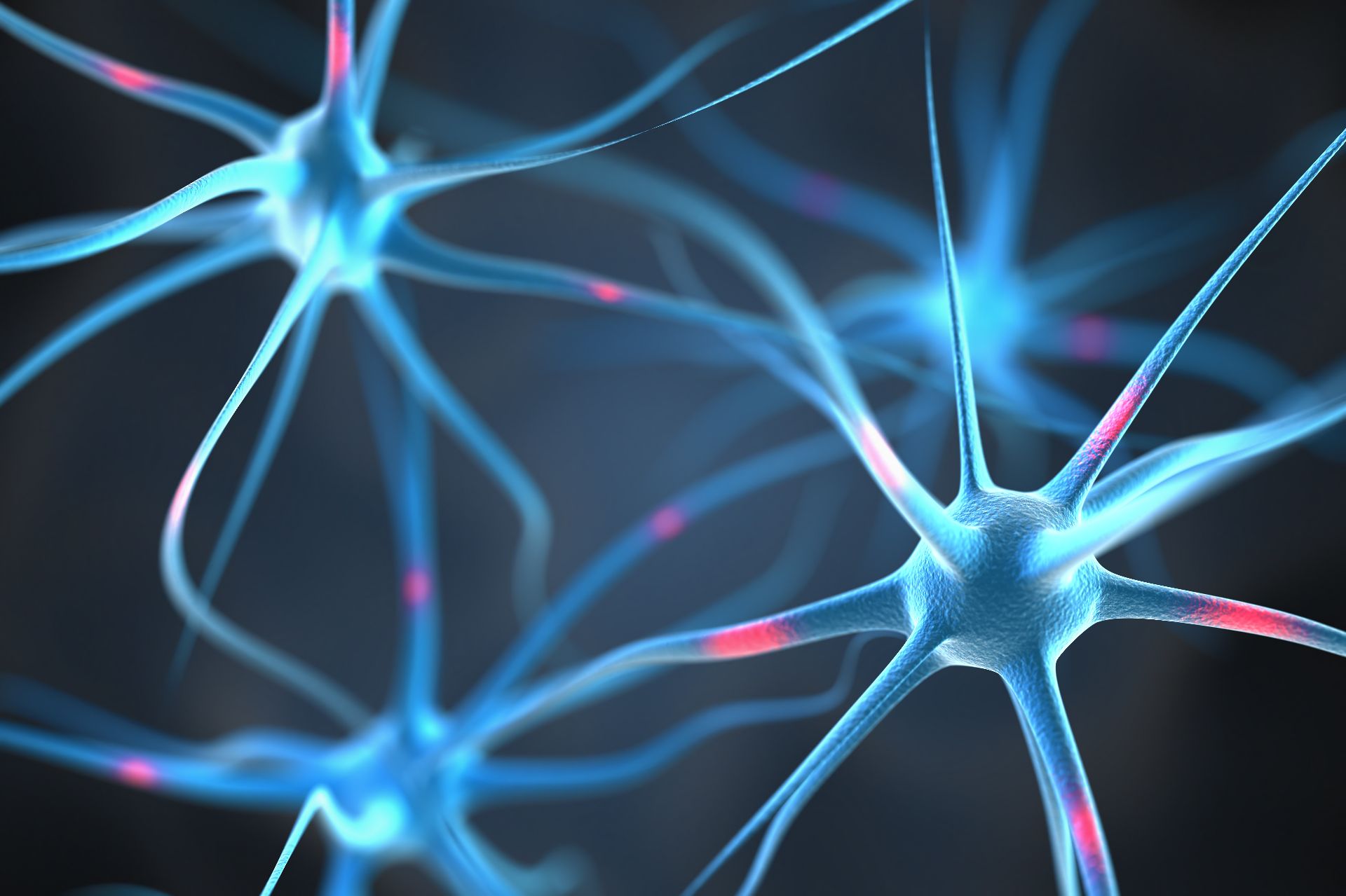 O nouă abordare ar putea salva neuronii în bolile neurodegenerative