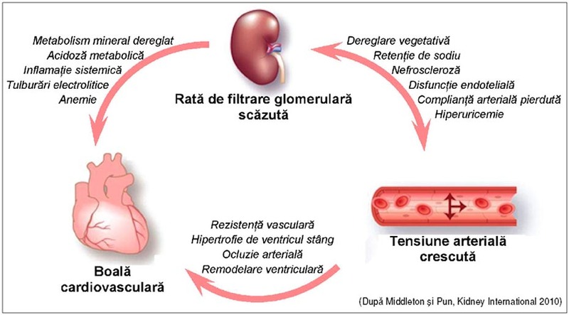 Boala cronică de rinichi