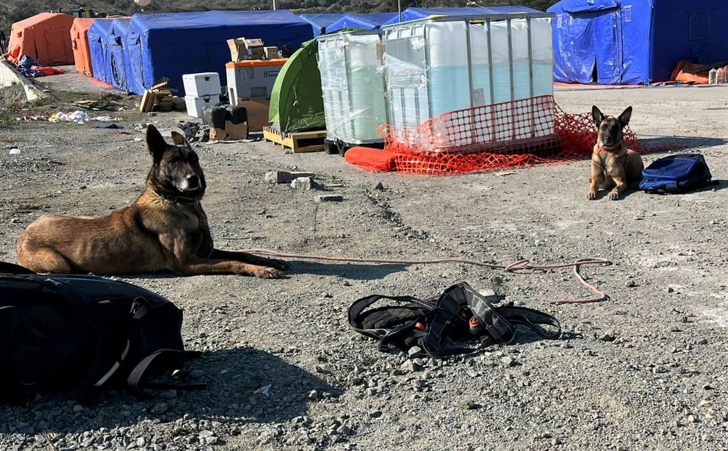 Turcia: cu ajutorul câinilor, salvatorii români au mai găsit un supraviețuitor