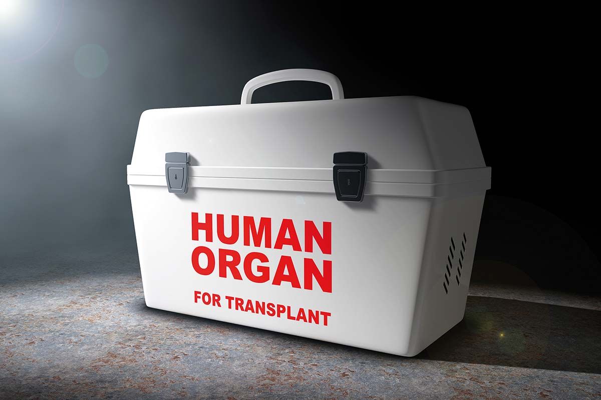 transplant1