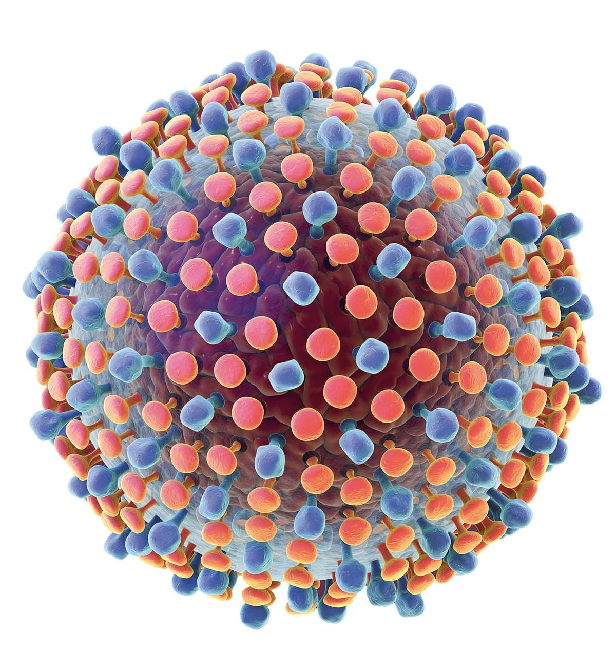 virusul hepatitei C
